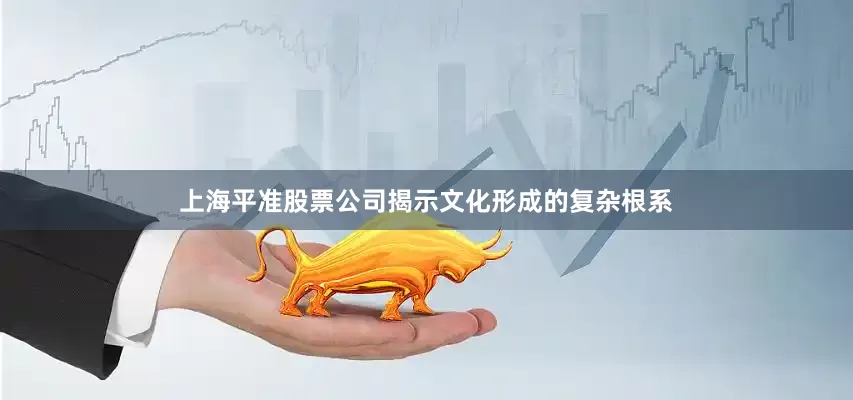上海平准股票公司揭示文化形成的复杂根系
