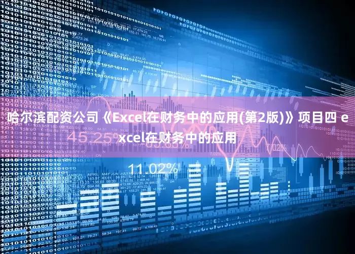 哈尔滨配资公司《Excel在财务中的应用(第2版)》项目四 excel在财务中的应用