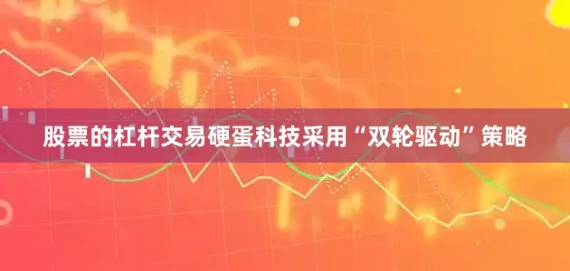 股票的杠杆交易硬蛋科技采用“双轮驱动”策略