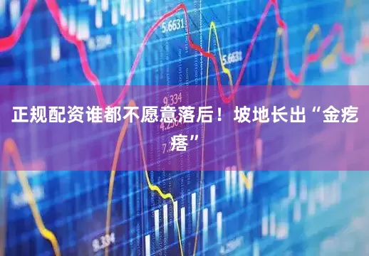 正规配资谁都不愿意落后！坡地长出“金疙瘩”