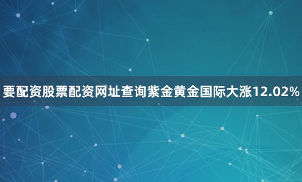 要配资股票配资网址查询紫金黄金国际大涨12.02%