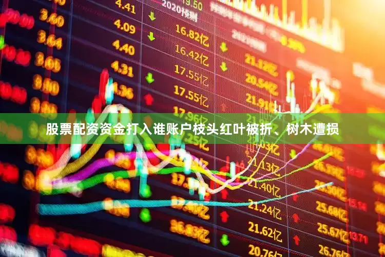 股票配资资金打入谁账户枝头红叶被折、树木遭损